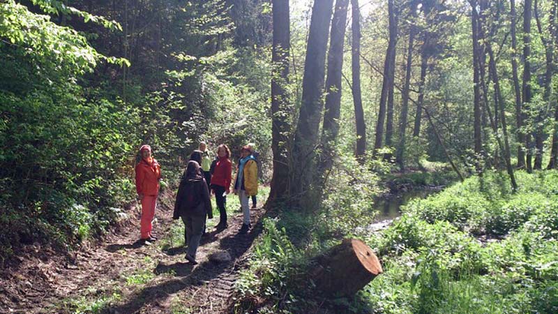 drosendorf f2014 3 800