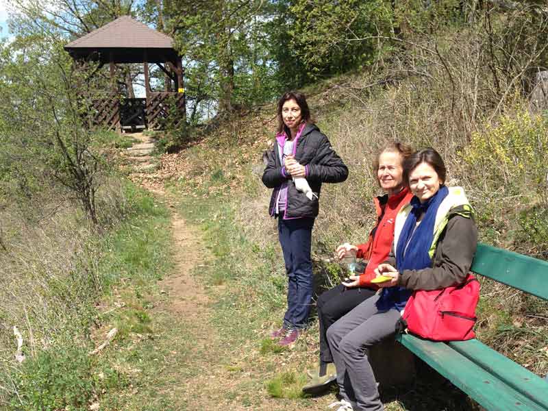 drosendorf f2014 5 800