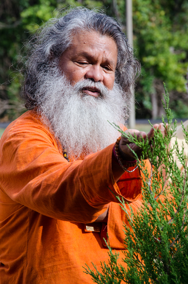 Alexandria PeaceTree 18Sept2016 Vishwaguruji