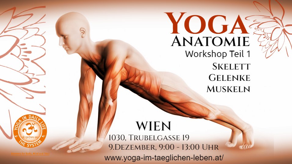 2023 Yoga Anatomie