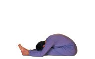 Asanas und Yoga Übungen, die auf den Lendenbereich und die Nieren wirken