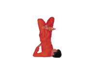 Padma Sarvangasana